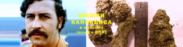 МДПВ Верея