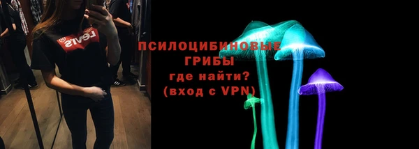 хмурый Верхний Тагил