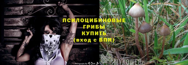 МДПВ Верея