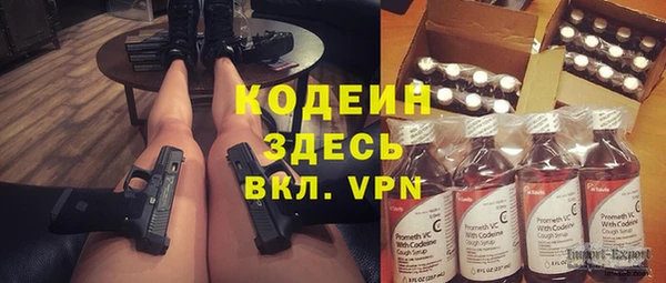 хмурый Верхний Тагил