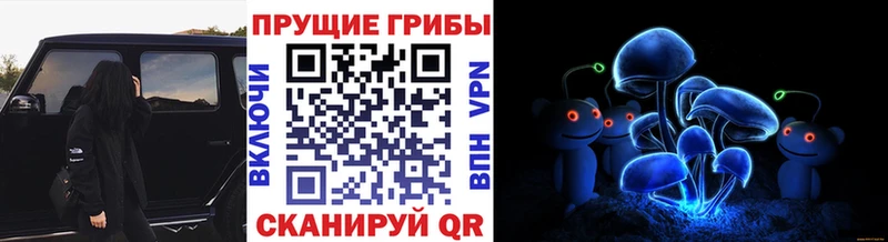 Псилоцибиновые грибы мухоморы  Купить закладки  Верхнеуральск 